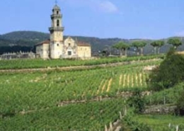 Consortium Funding & Advisory Vineyard Image