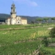 Consortium Funding & Advisory Vineyard Image